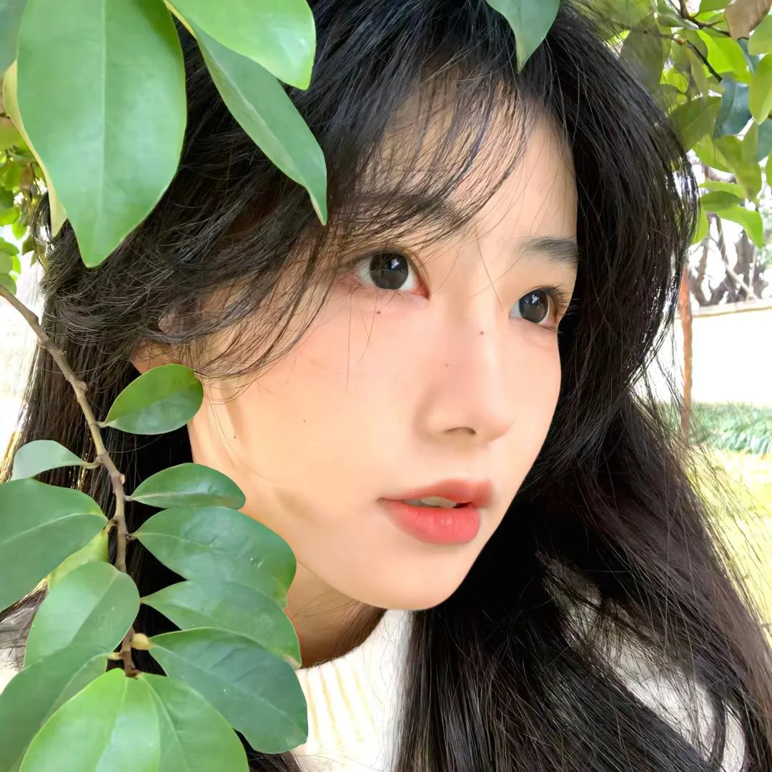 战栗丛林